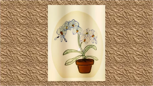 ORCHIDEES Fusing Grisaille Emaux