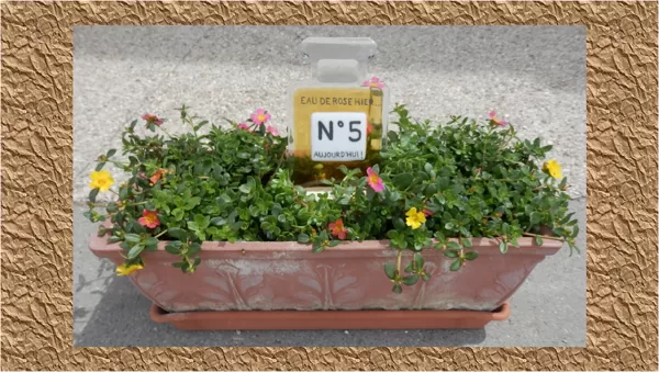 ROSIERES aux ARTISTES N°5 Fusing Grisaille